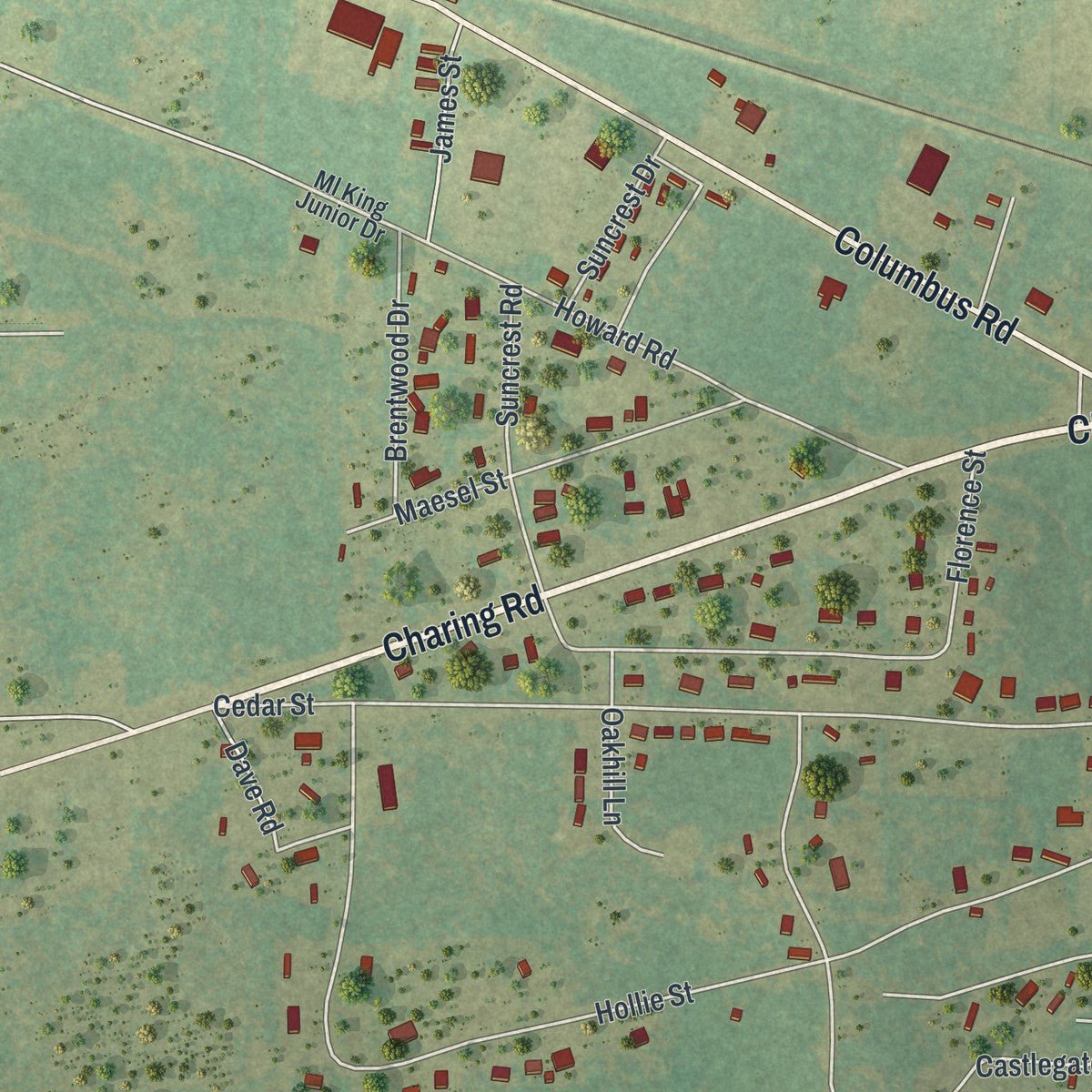 Second close-up of the map of Butler, Georgia print showing more streets and buildings