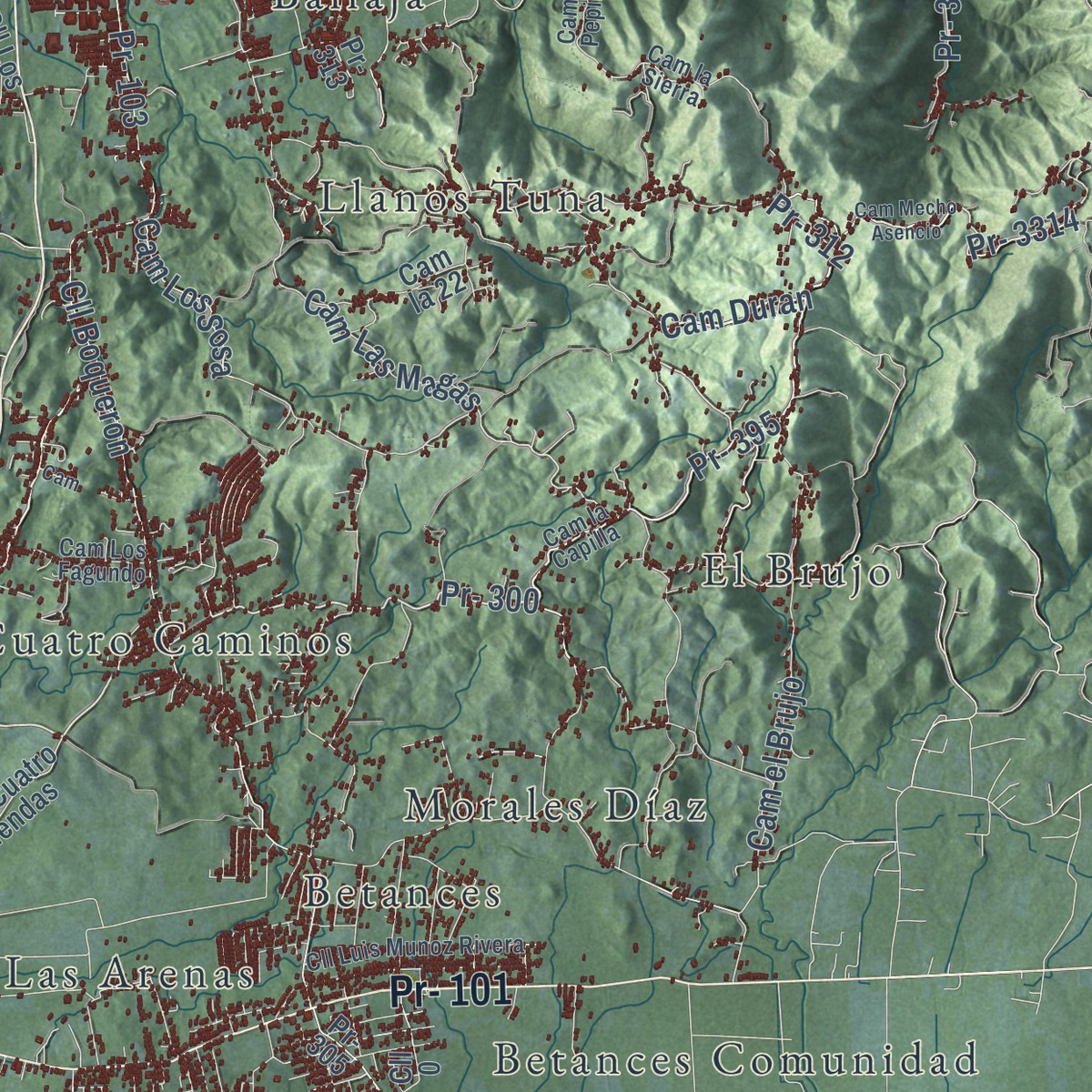 Second close-up of the map of Cabo Rojo, Puerto Rico print showing more streets and buildings