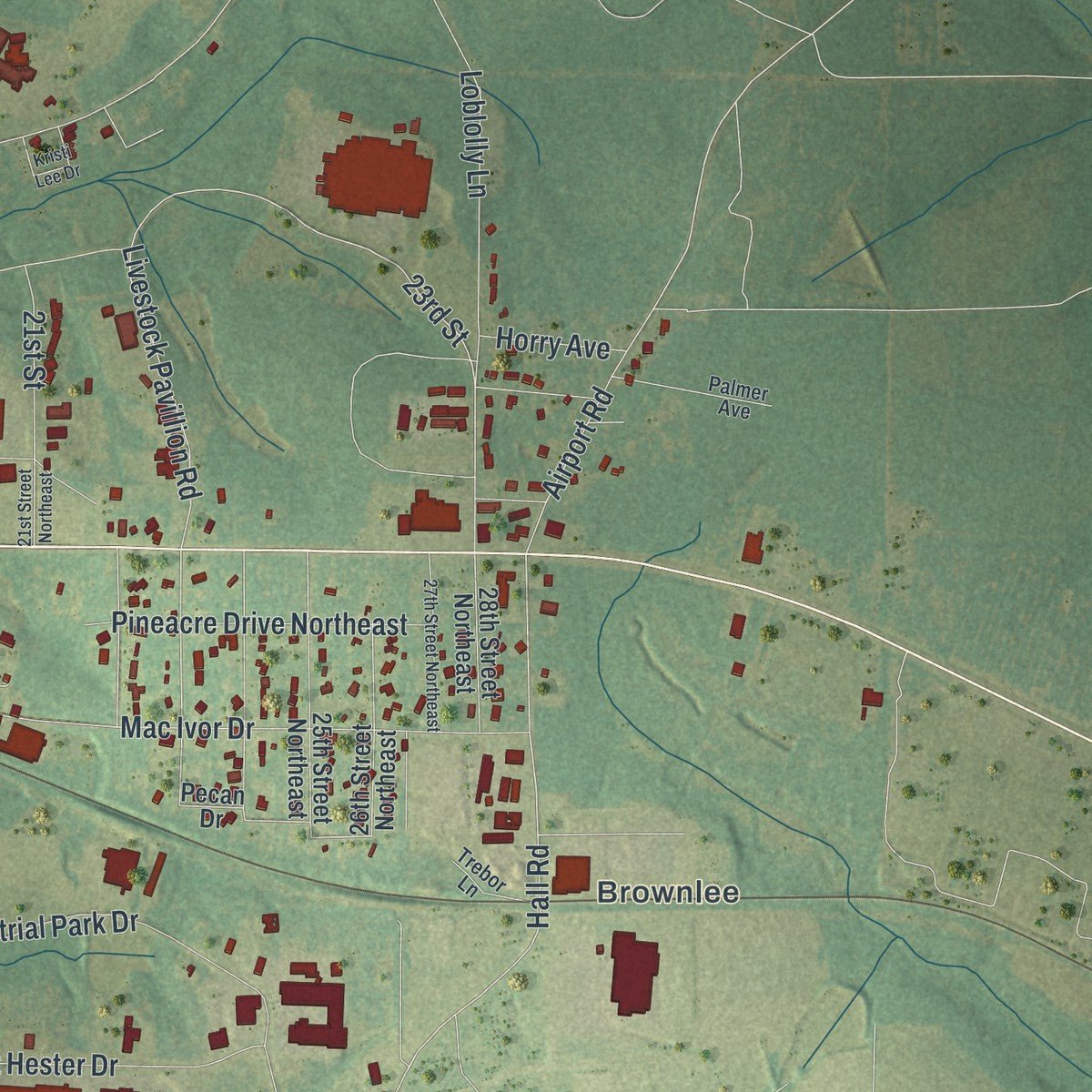 Second close-up of the map of Cairo, Georgia print showing more streets and buildings