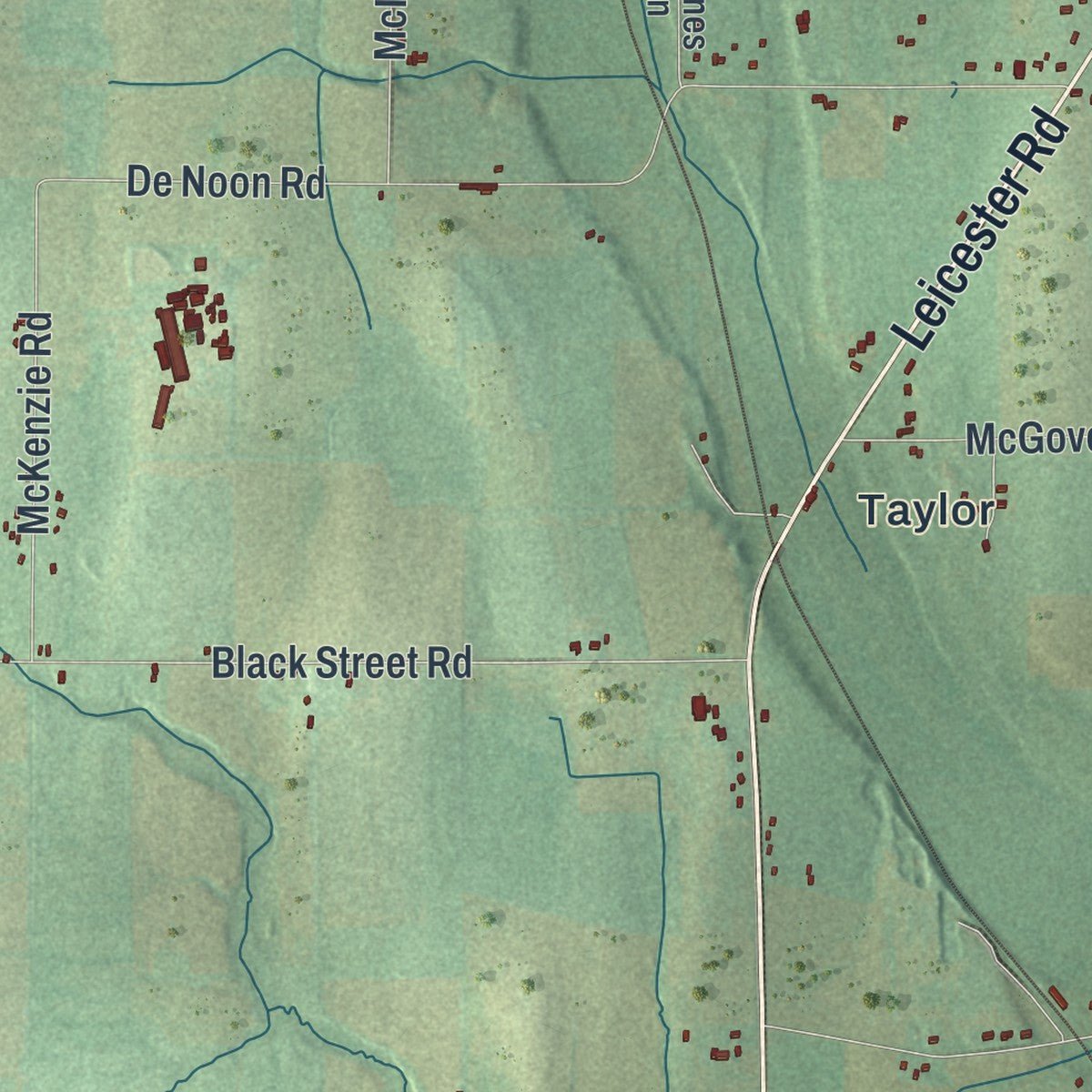 Second close-up of the map of Caledonia, New York print showing more streets and buildings