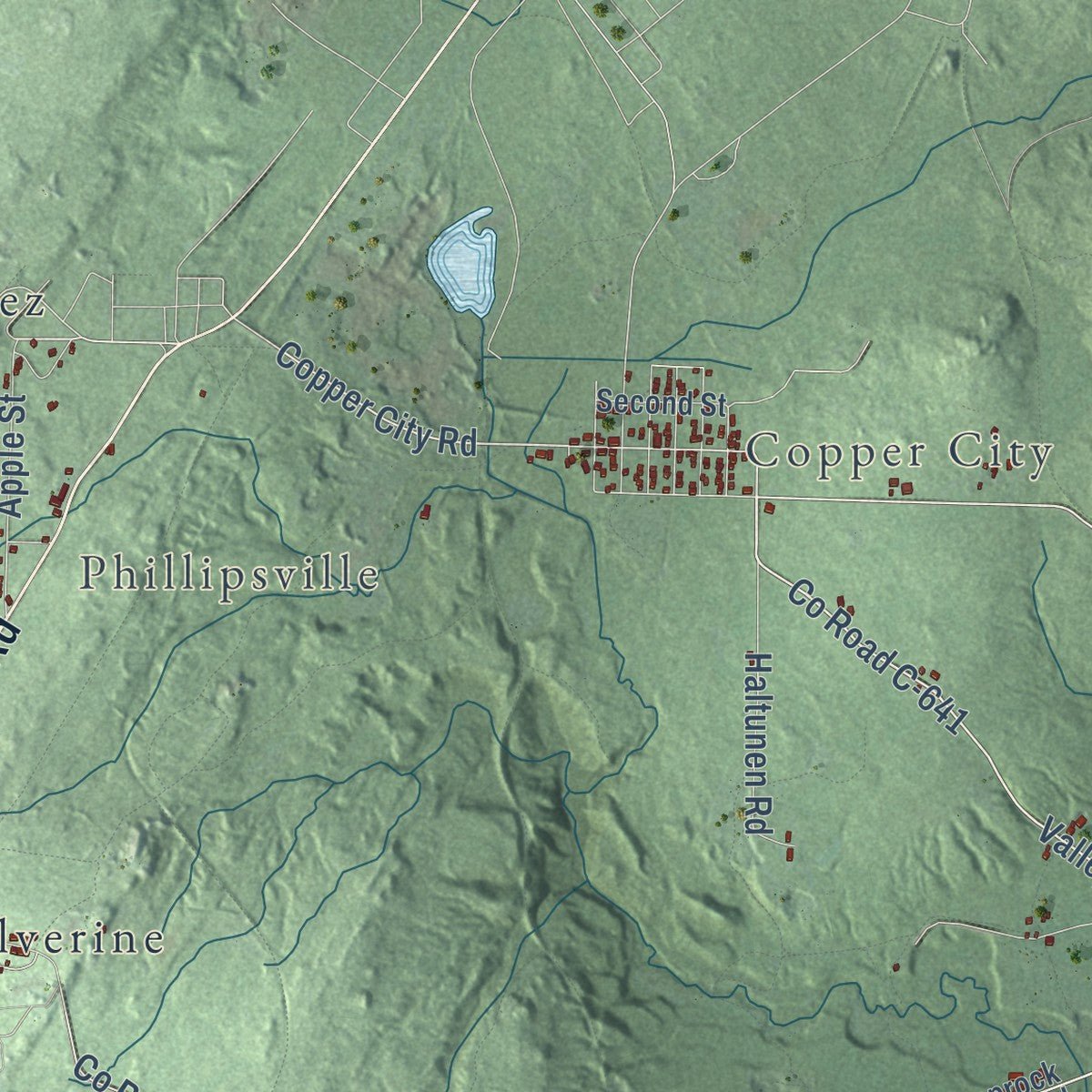 Second close-up of the map of Calumet, Houghton County, Michigan print showing more streets and buildings