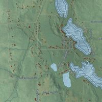 Second close-up of the map of Cambria, Michigan print showing more streets and buildings