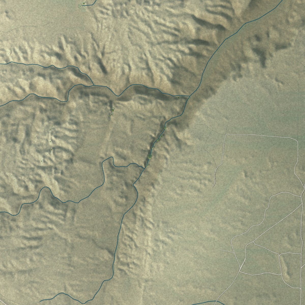 Second close-up of the map of Cameron, Arizona print showing more streets and buildings