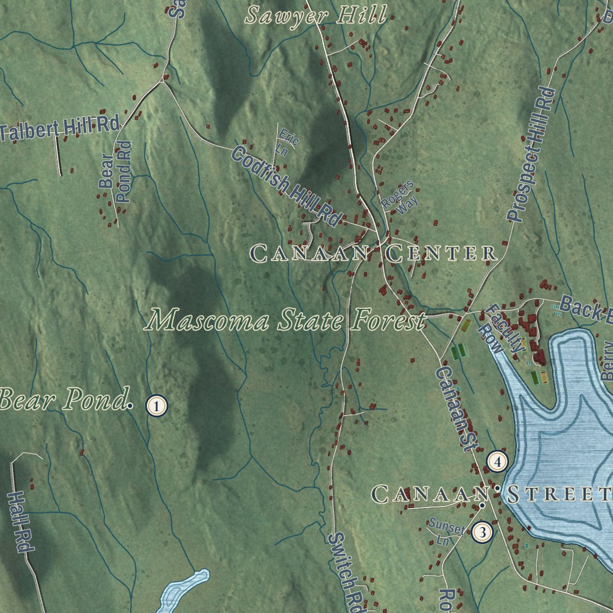 Second close-up of the map of Canaan, New Hampshire print showing more streets and buildings
