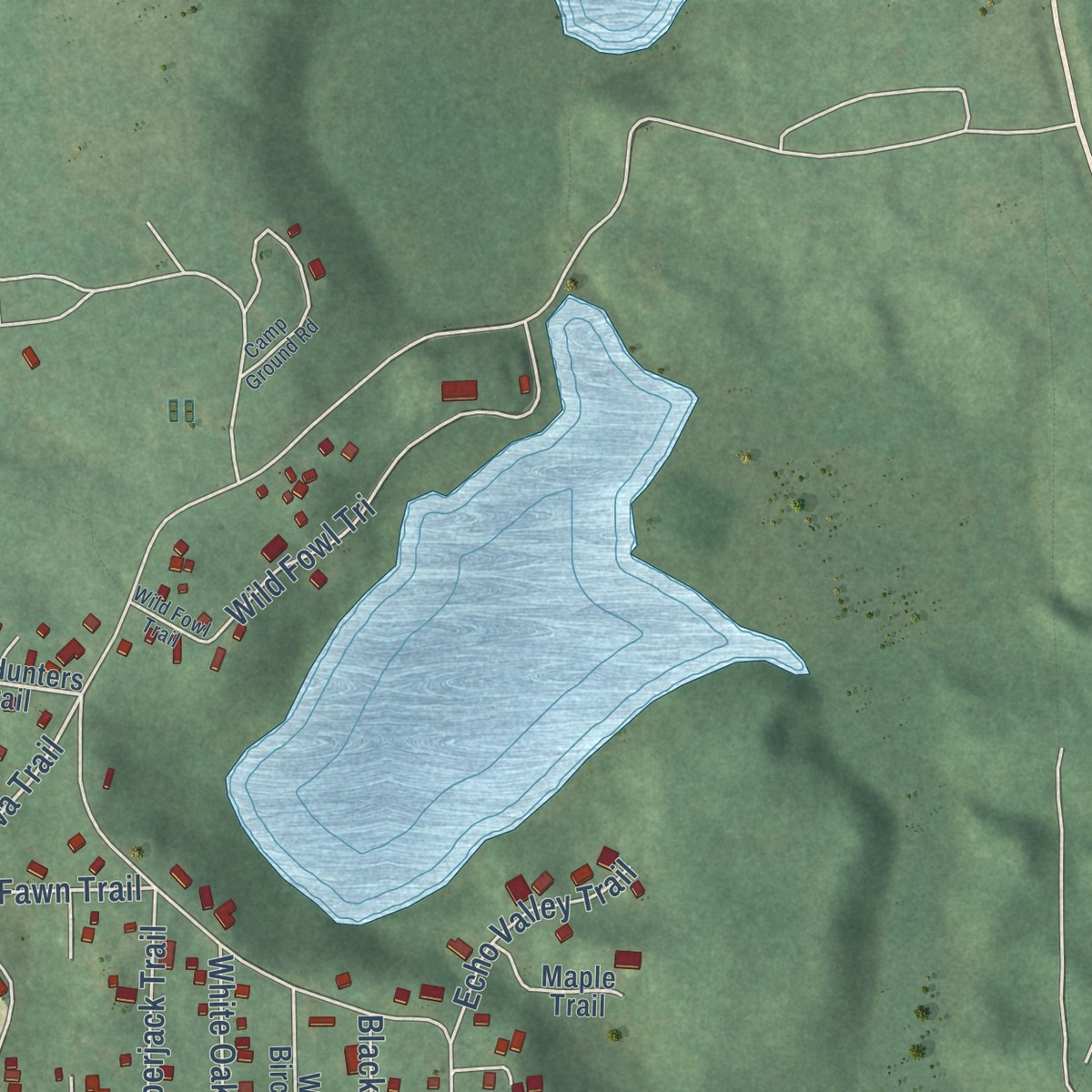 Second close-up of the map of Canada Creek Ranch, Michigan print showing more streets and buildings