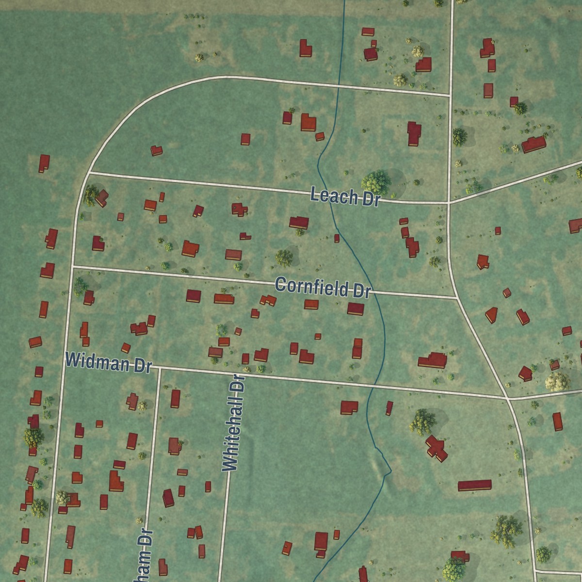 Second close-up of the map of Cane Savannah, South Carolina print showing more streets and buildings