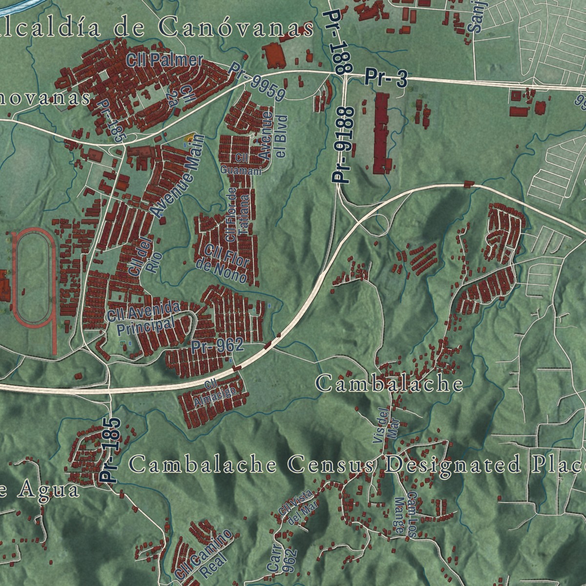 Second close-up of the map of Canóvanas, Puerto Rico print showing more streets and buildings