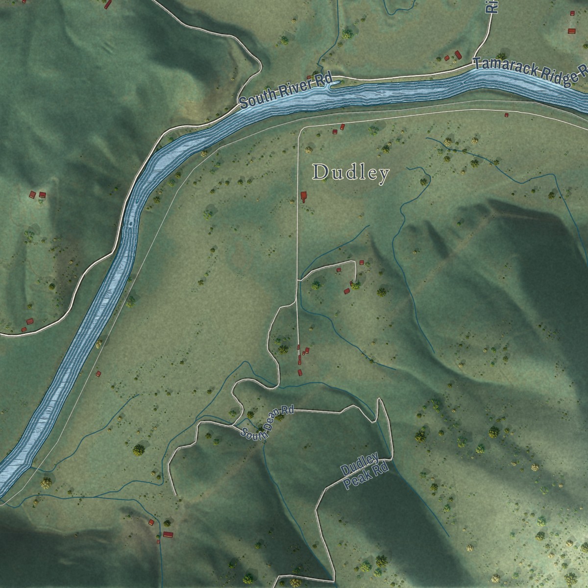 Second close-up of the map of Canyon, Idaho print showing more streets and buildings