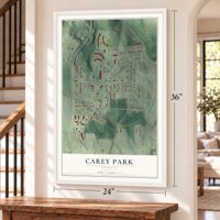 Carey Park, Georgia map, 24 x 36 inch print in a white frame by a staircase