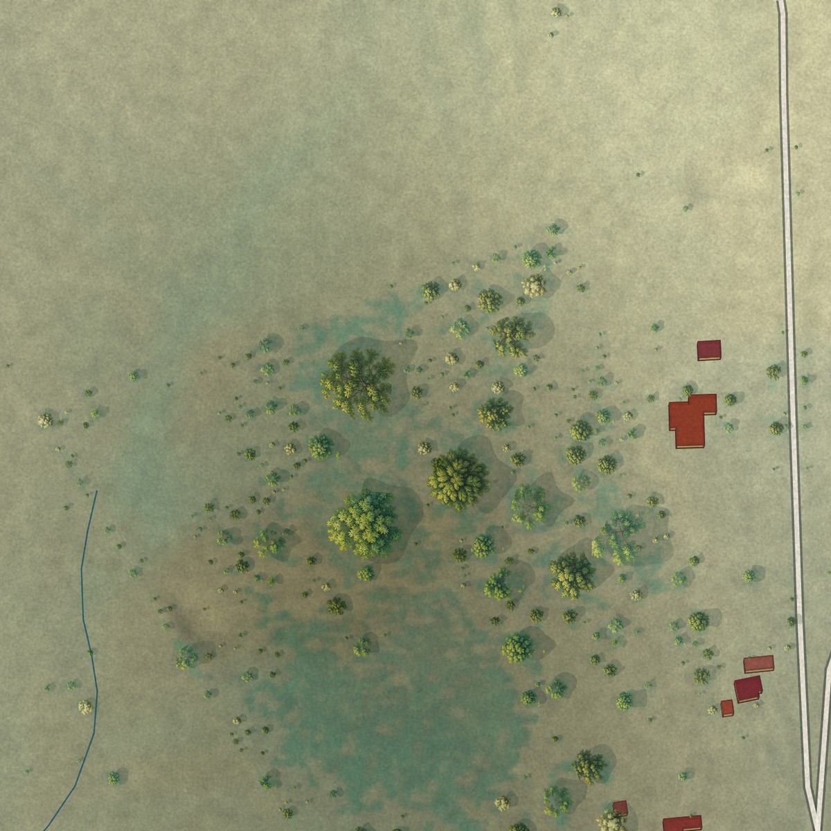 Second close-up of the map of Carlton, Texas print showing more streets and buildings