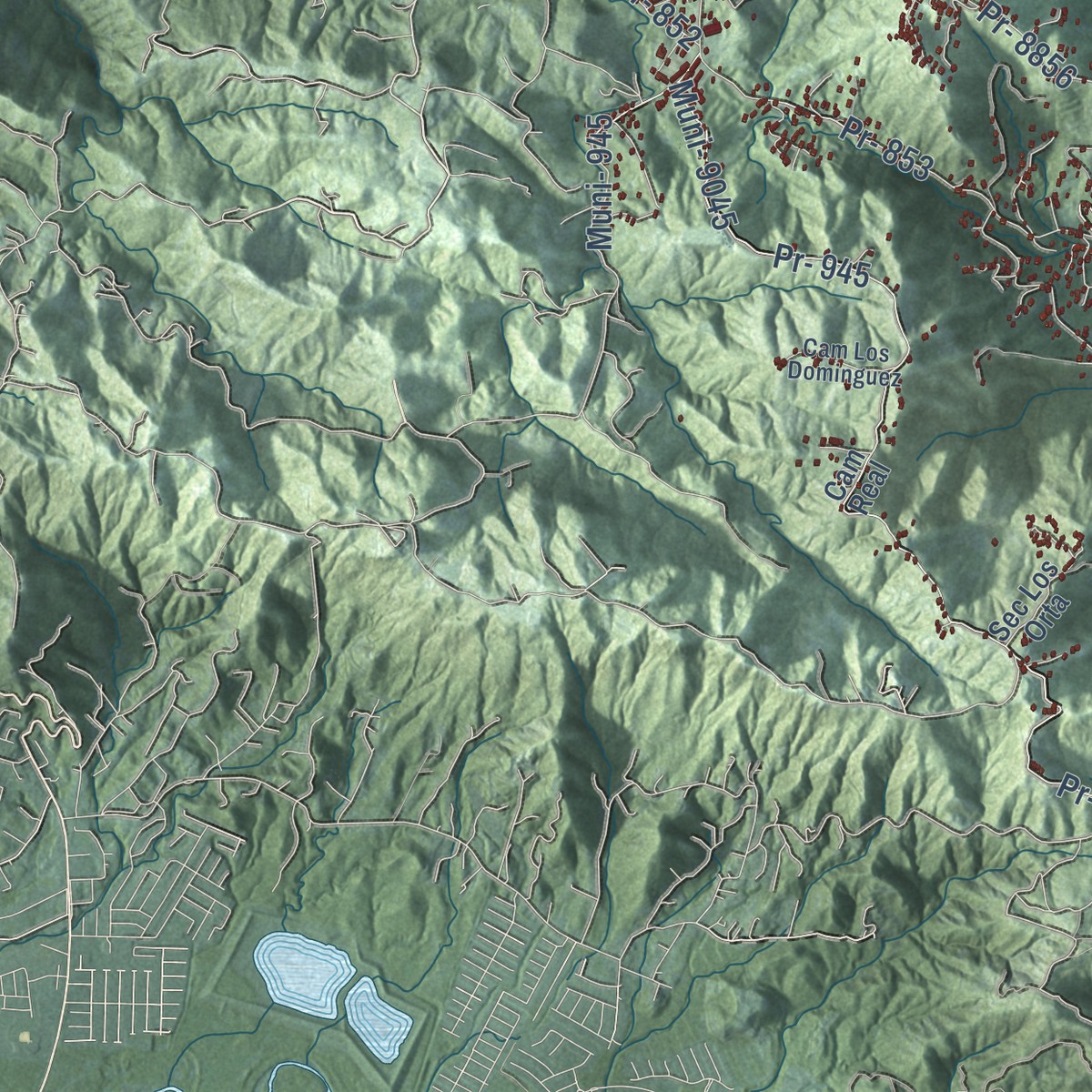 Second close-up of the map of Carolina, Puerto Rico print showing more streets and buildings