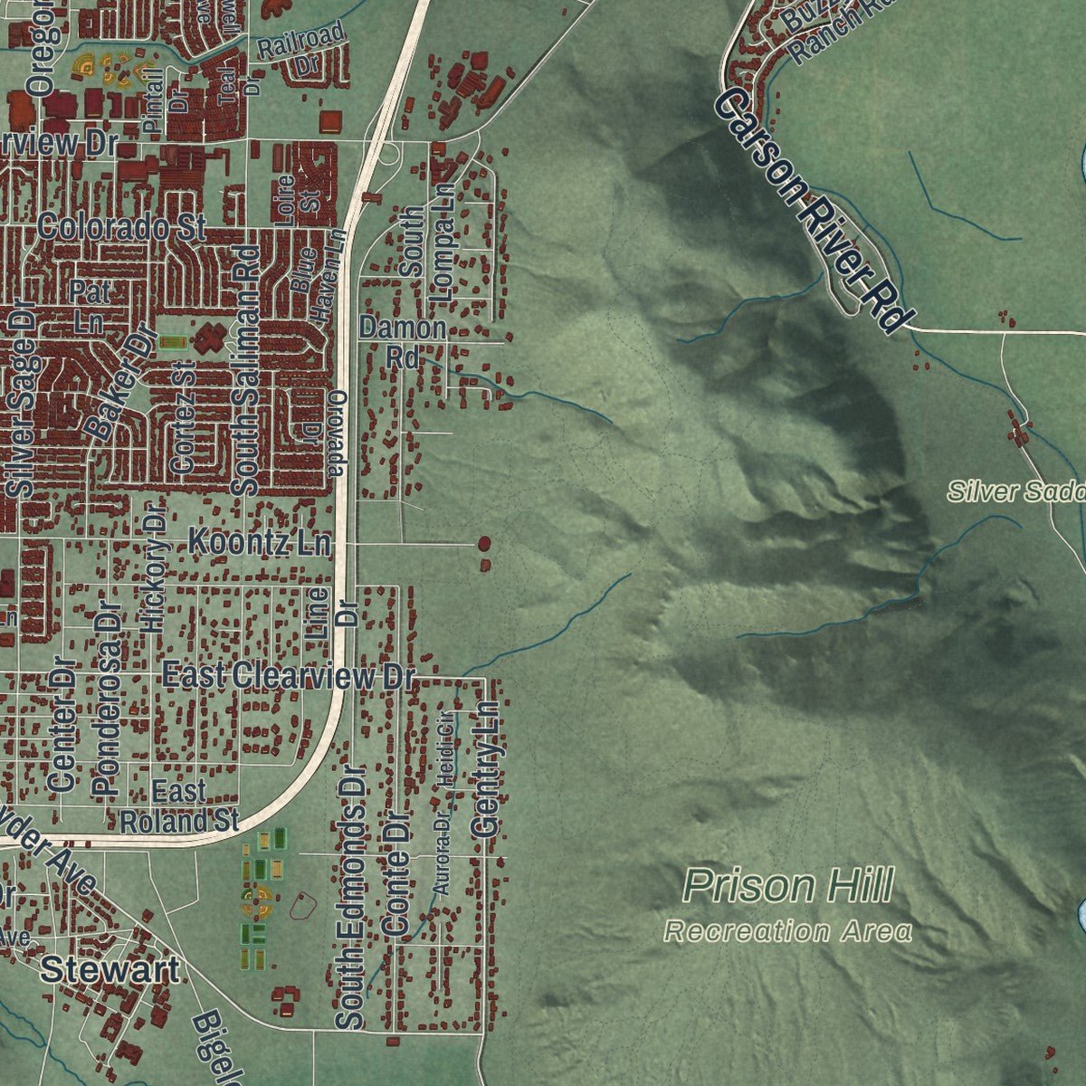 Second close-up of the map of Carson City, Nevada print showing more streets and buildings