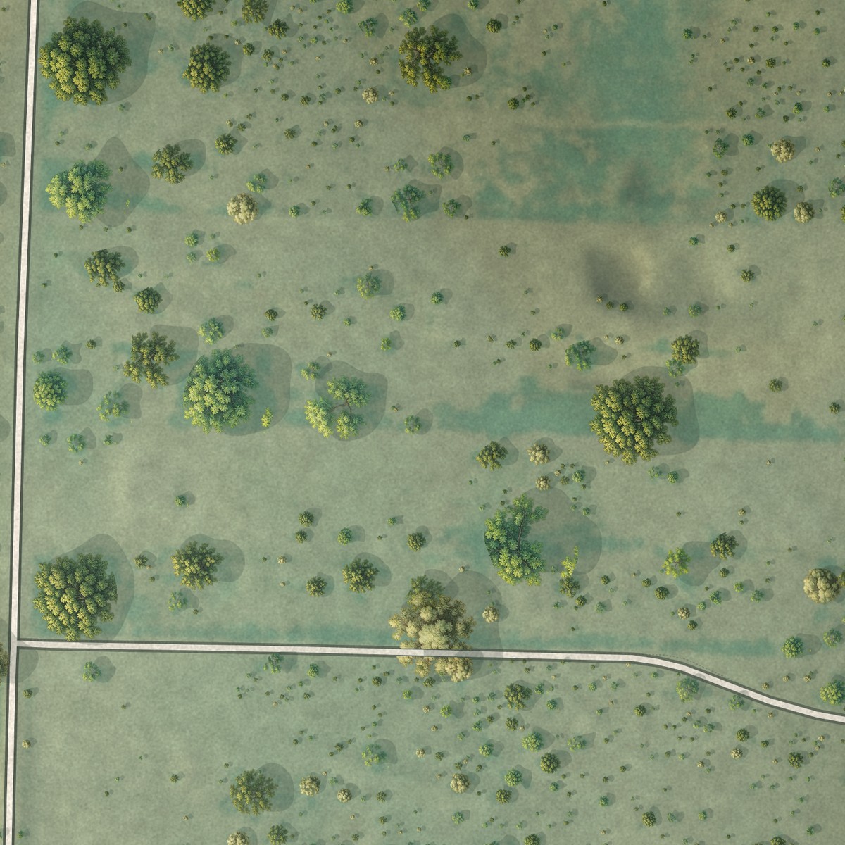 Second close-up of the map of Casas, Texas print showing more streets and buildings