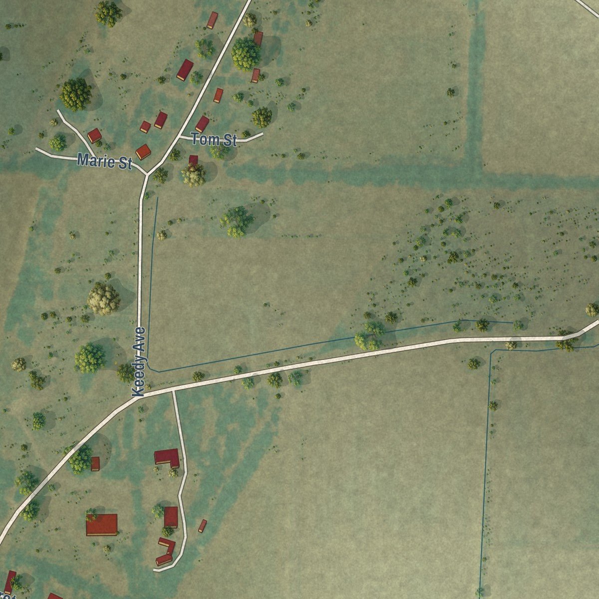 Second close-up of the map of Cash, Arkansas print showing more streets and buildings