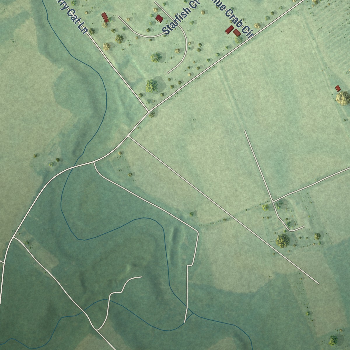 Second close-up of the map of Cats Bridge, Virginia print showing more streets and buildings