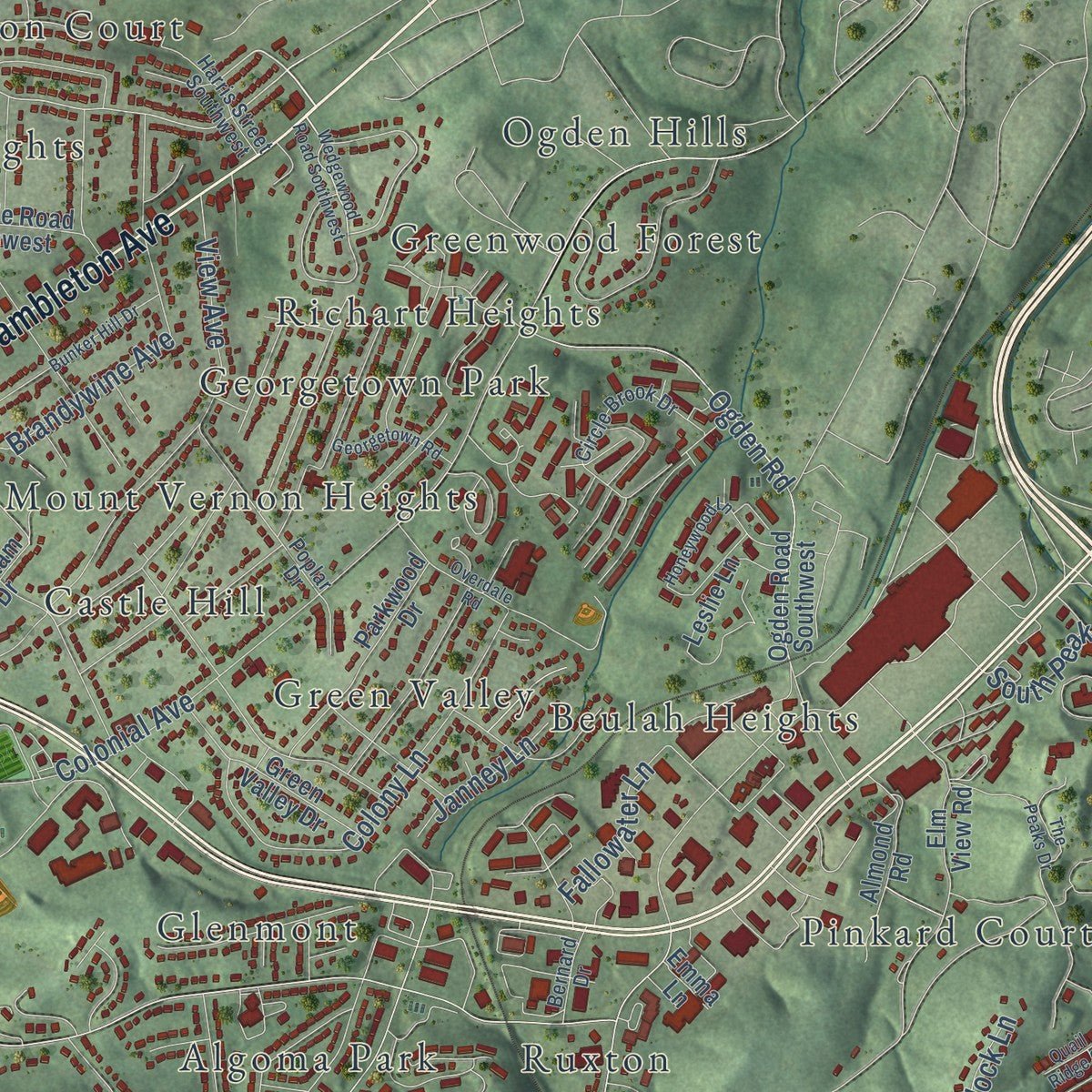Second close-up of the map of Cave Spring, Virginia print showing more streets and buildings