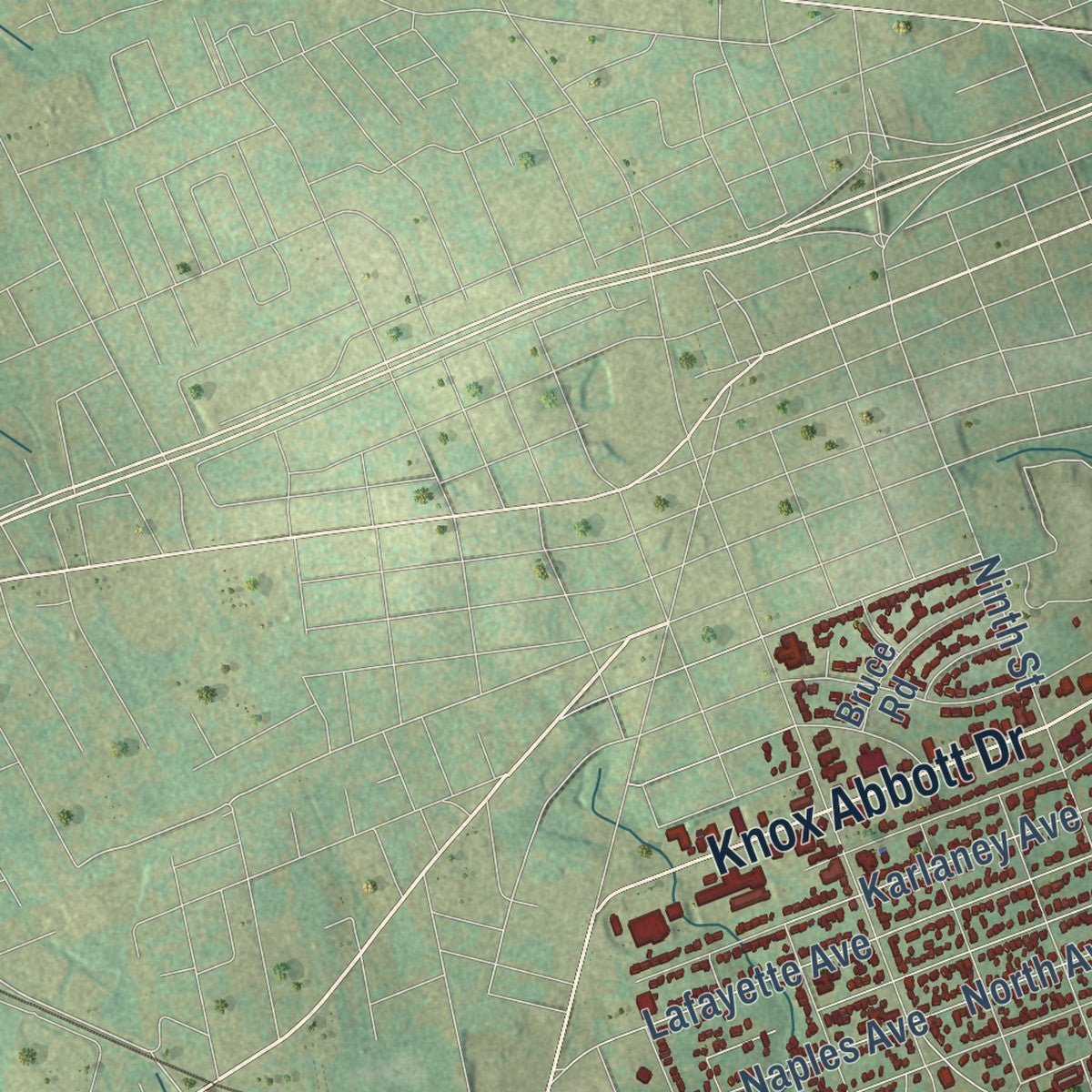 Second close-up of the map of Cayce, South Carolina print showing more streets and buildings