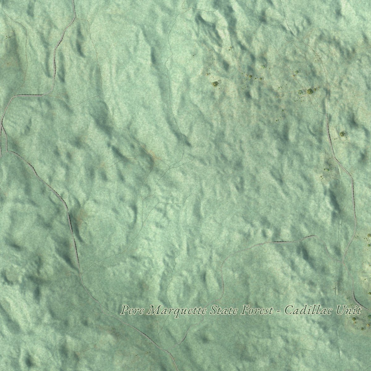 Second close-up of the map of Cedar, Michigan print showing more streets and buildings