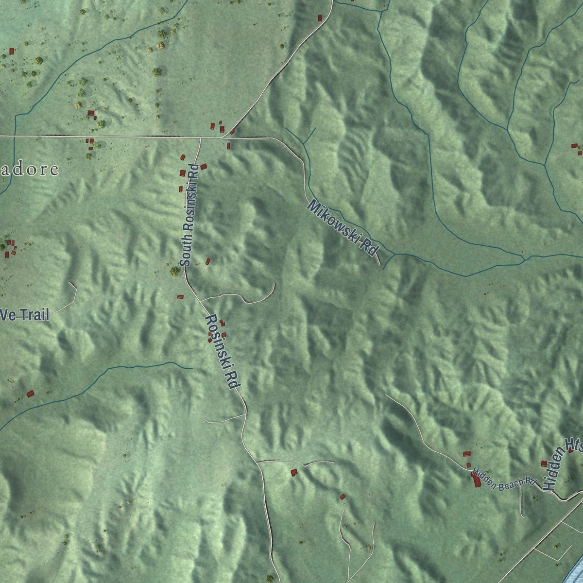 Second close-up of the map of Centerville, Michigan print showing more streets and buildings