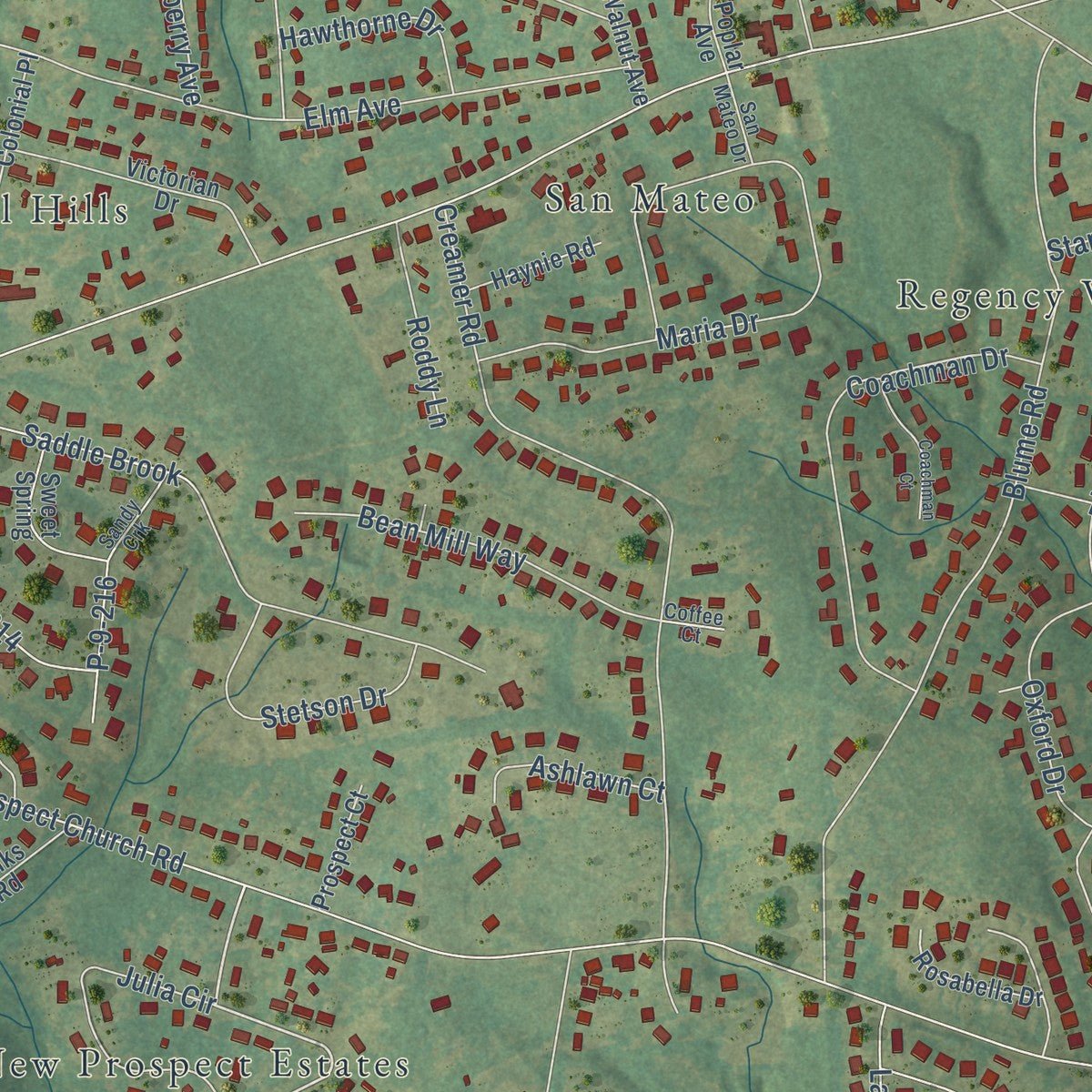 Second close-up of the map of Centerville, South Carolina print showing more streets and buildings