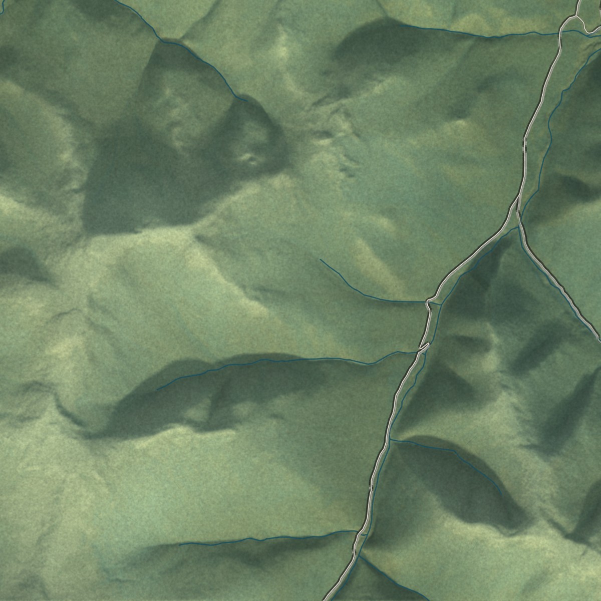 Second close-up of the map of Central, Alaska print showing more streets and buildings