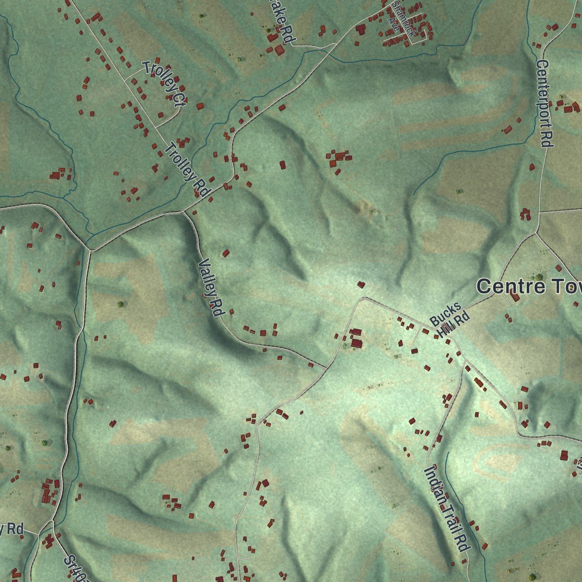 Second close-up of the map of Centre, Berks County, Pennsylvania print showing more streets and buildings