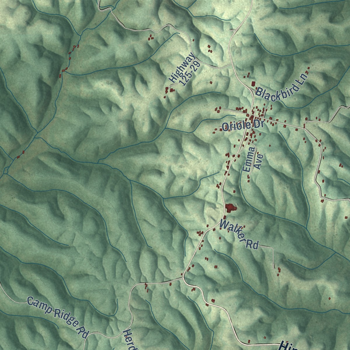 Second close-up of the map of Chadwick, Missouri print showing more streets and buildings