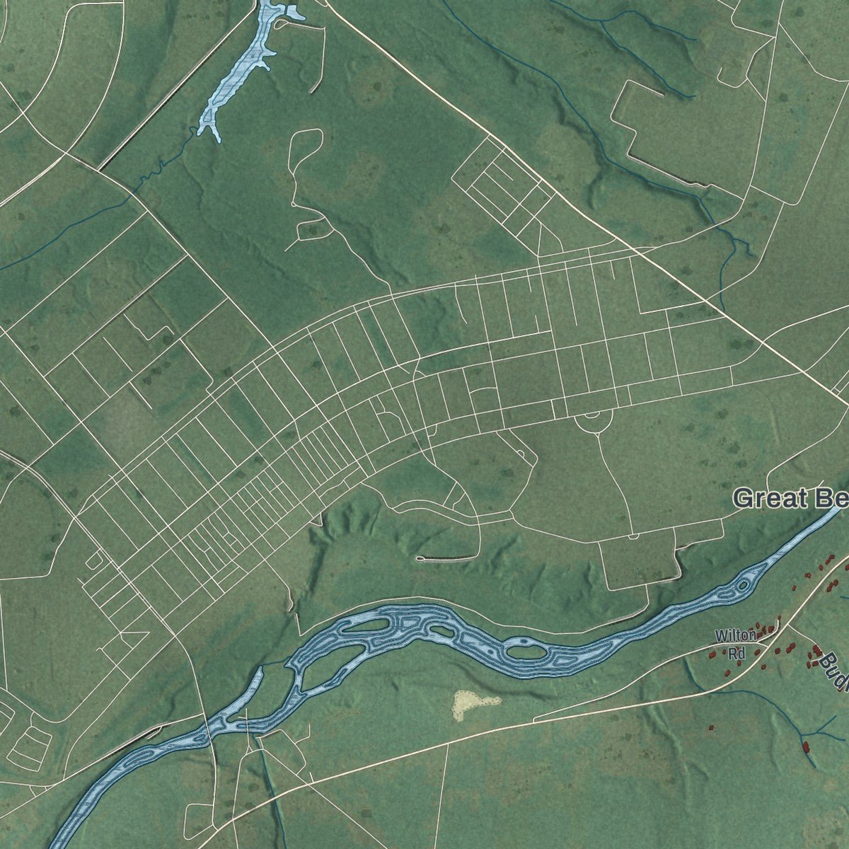 Second close-up of the map of Champion, New York print showing more streets and buildings