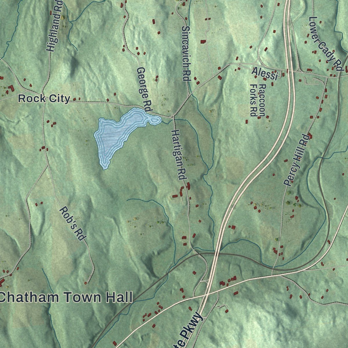 Second close-up of the map of the Town of Chatham, New York print showing more streets and buildings