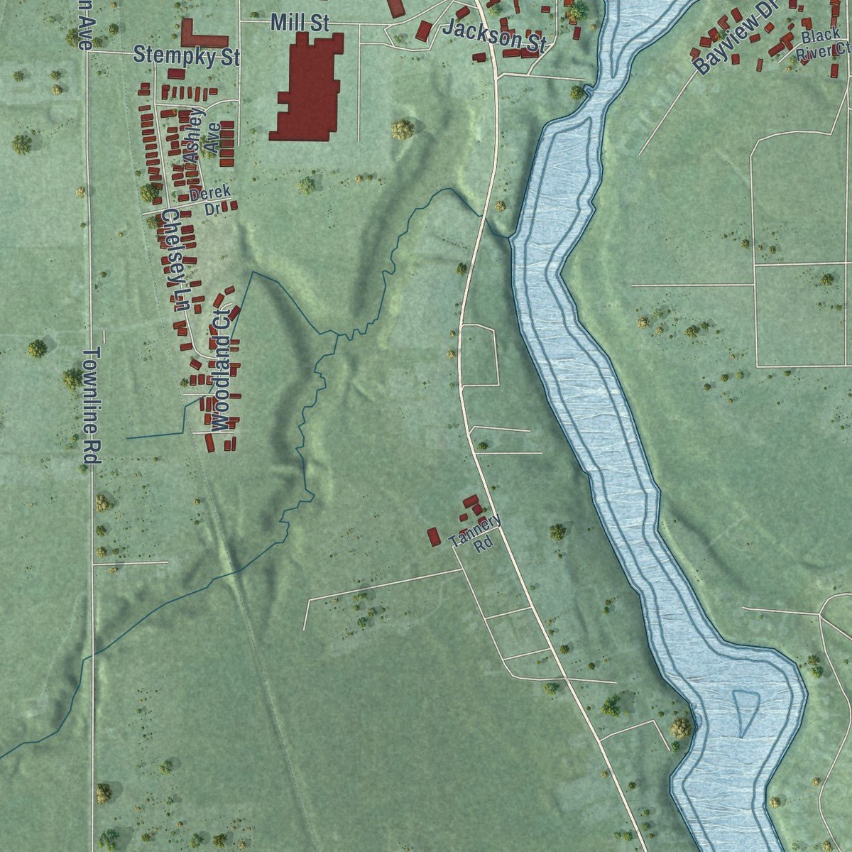 Second close-up of the map of Cheboygan, Michigan print showing more streets and buildings