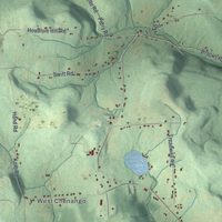 Second close-up of the map of Chenango, New York print showing more streets and buildings