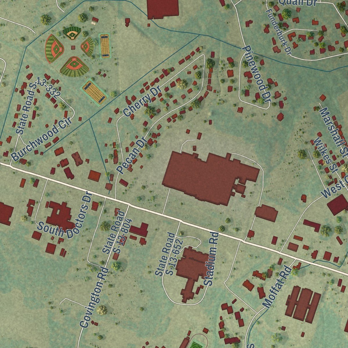 Second close-up of the map of Cheraw, South Carolina print showing more streets and buildings