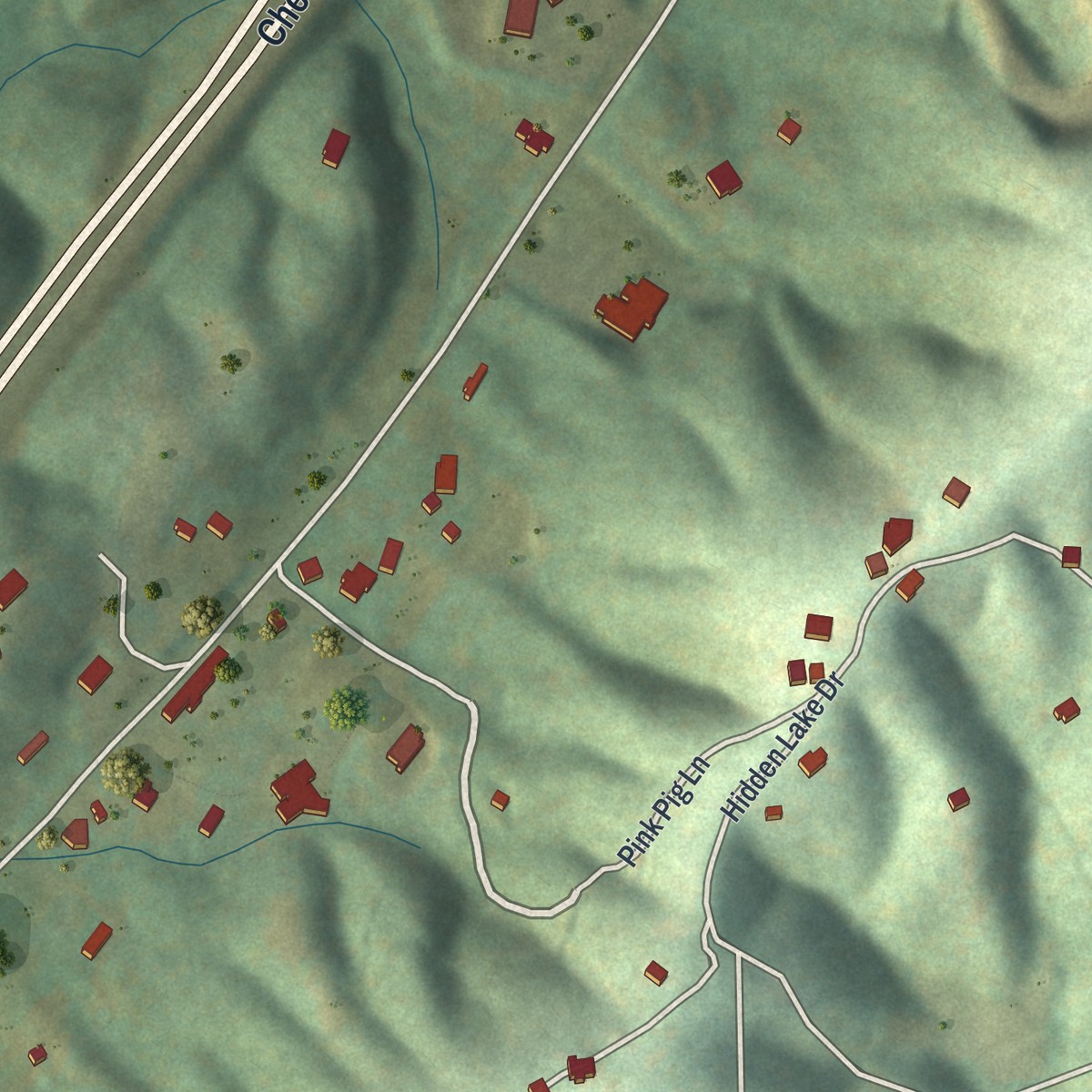 Second close-up of the map of Cherry Log, Georgia print showing more streets and buildings