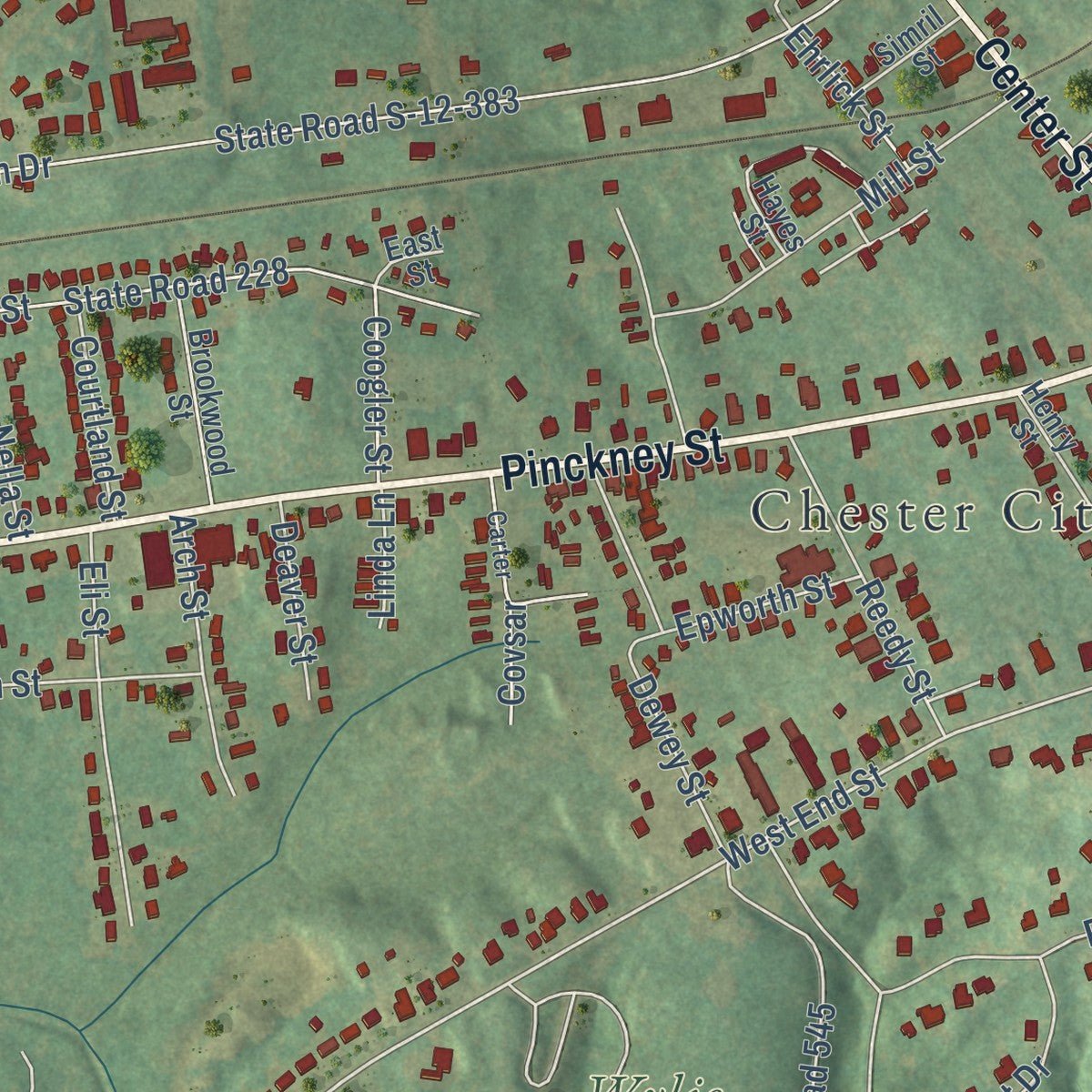Second close-up of the map of Chester, South Carolina print showing more streets and buildings