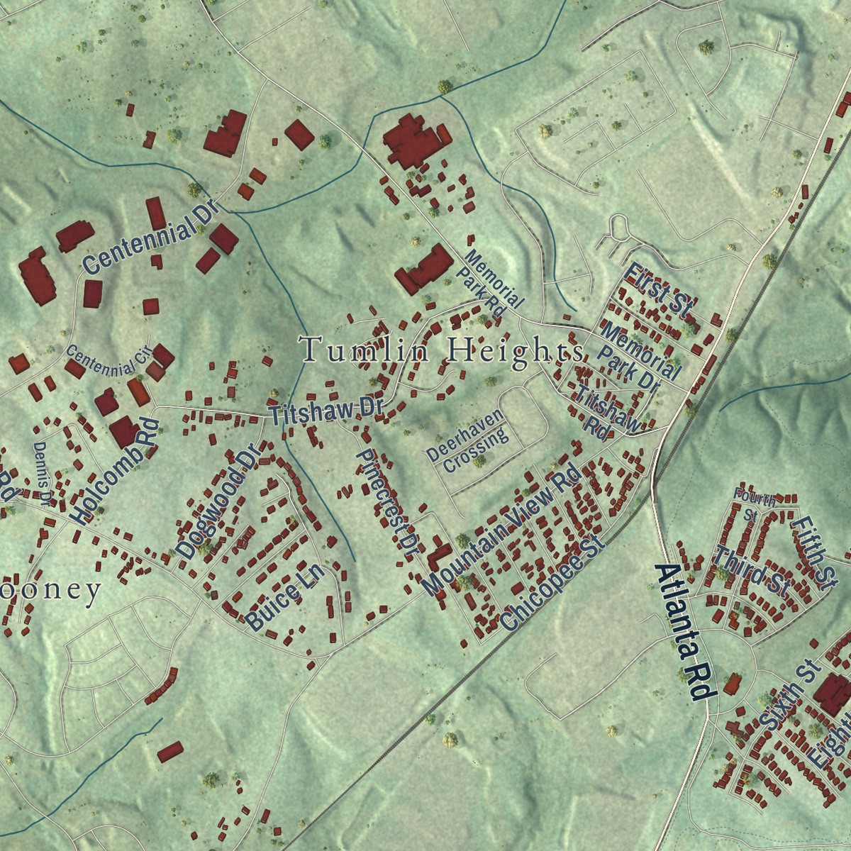 Second close-up of the map of Chicopee, Georgia print showing more streets and buildings