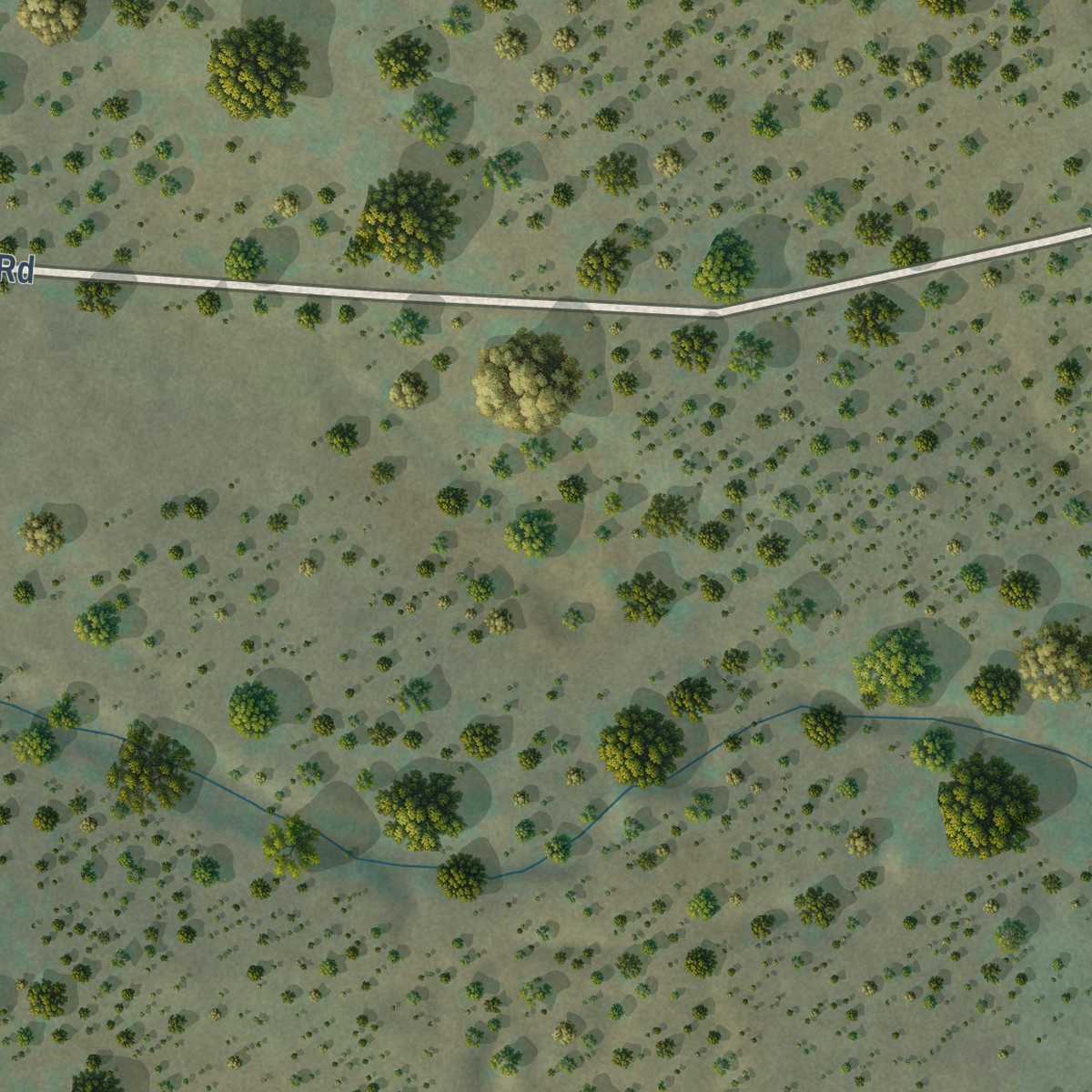 Second close-up of the map of Chilili, New Mexico print showing more streets and buildings
