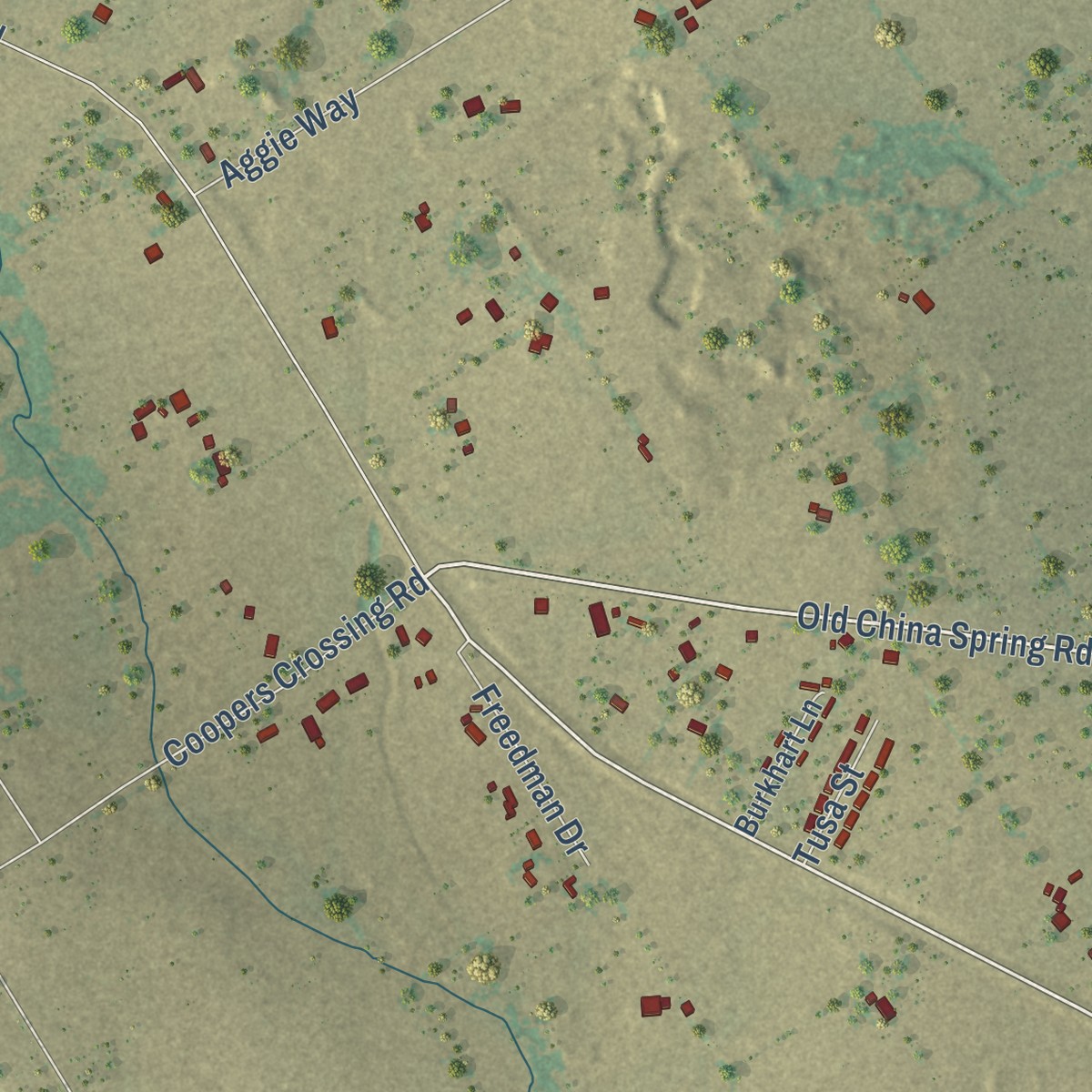 Second close-up of the map of China Spring, Texas print showing more streets and buildings
