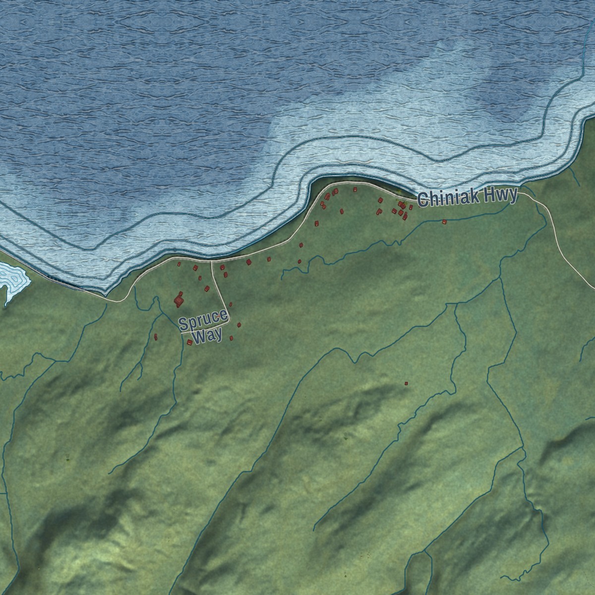 Second close-up of the map of Chiniak, Alaska print showing more streets and buildings