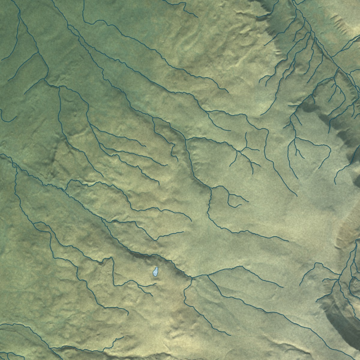 Second close-up of the map of Chistochina, Alaska print showing more streets and buildings