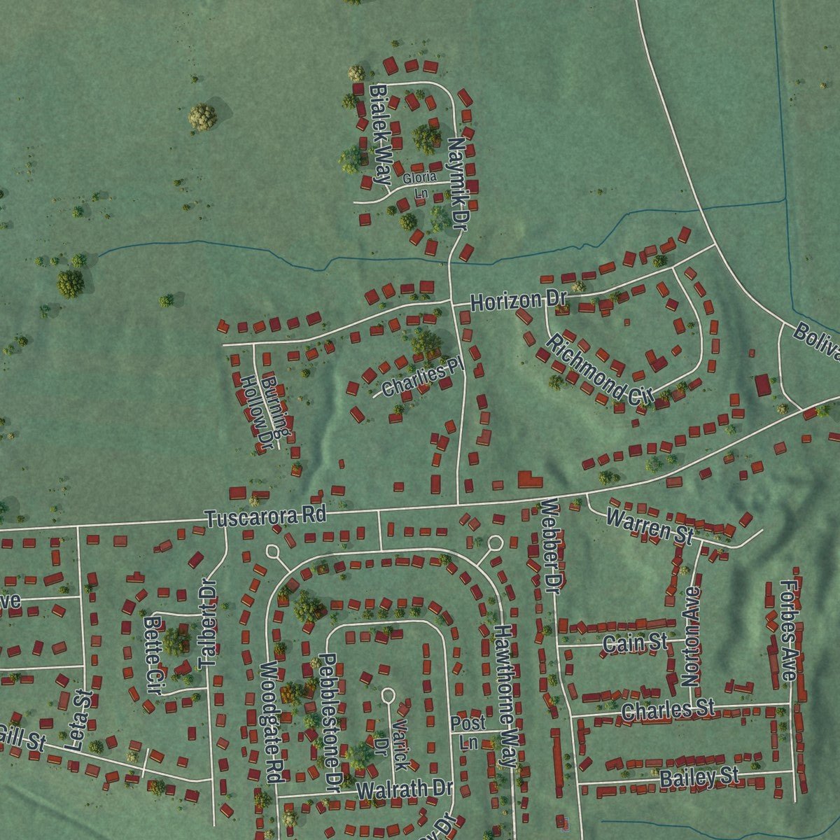 Second close-up of the map of Chittenango, New York print showing more streets and buildings