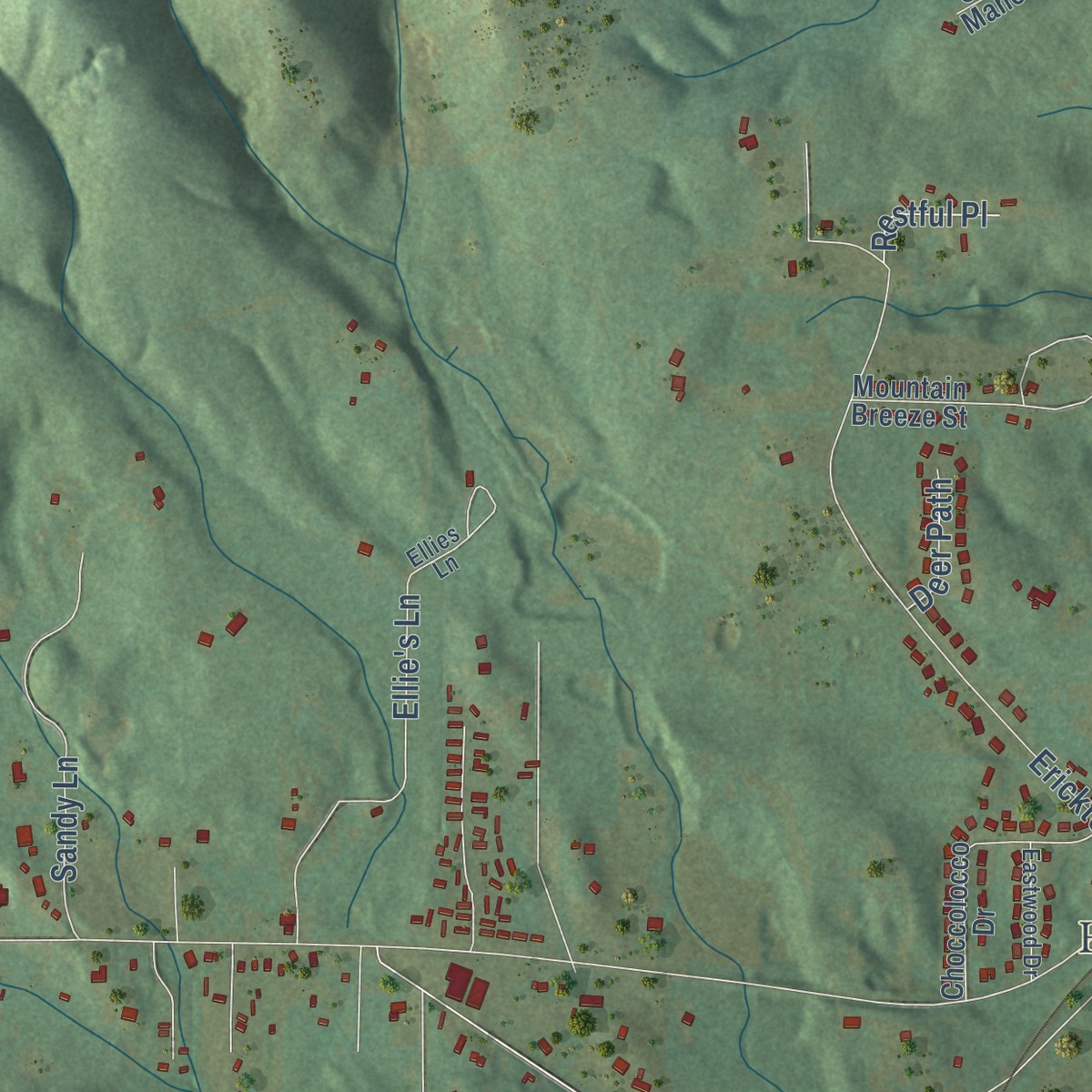 Second close-up of the map of Choccolocco, Alabama print showing more streets and buildings