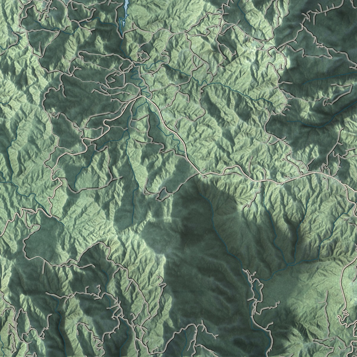 Second close-up of the map of Ciales, Puerto Rico print showing more streets and buildings