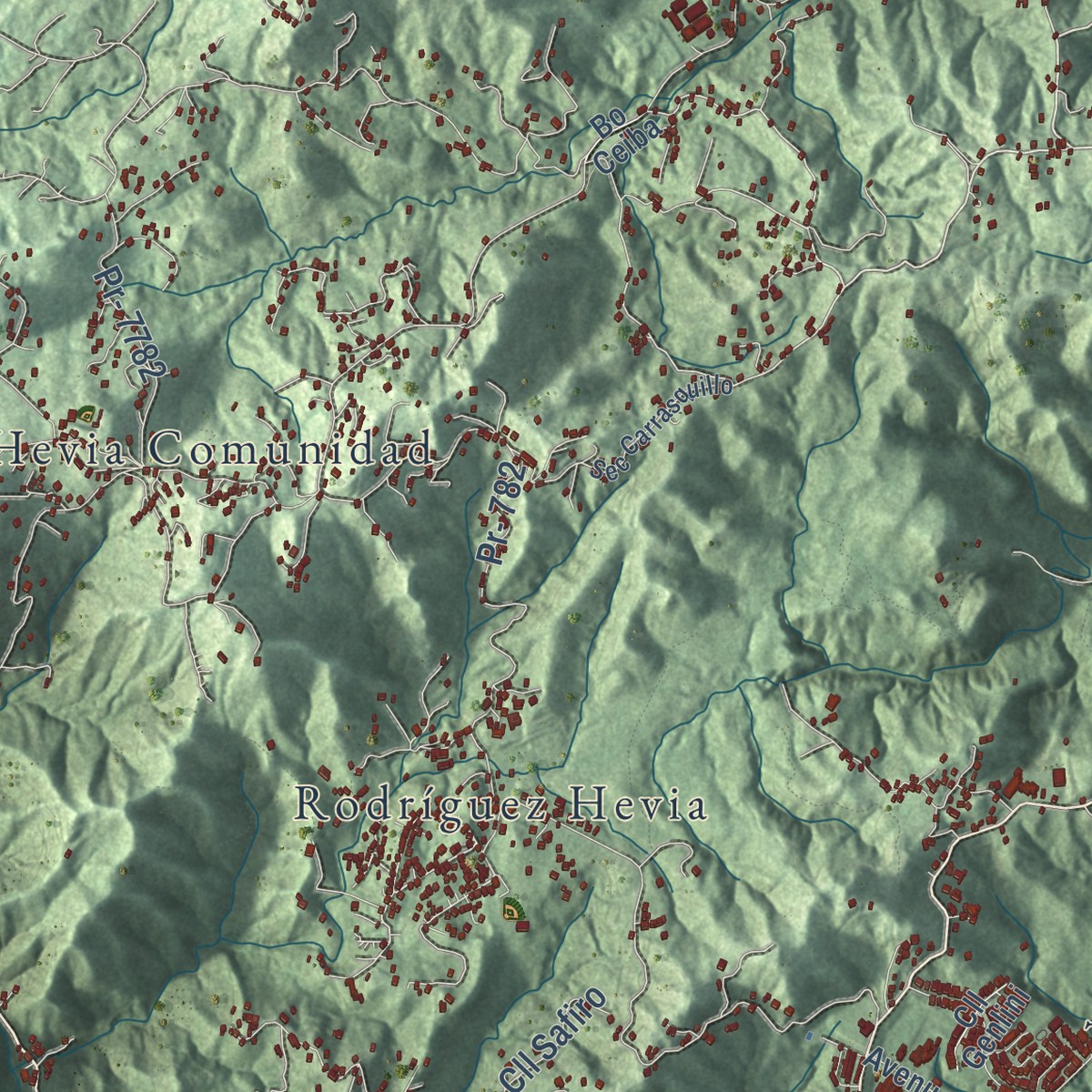 Second close-up of the map of Cidra, Puerto Rico print showing more streets and buildings
