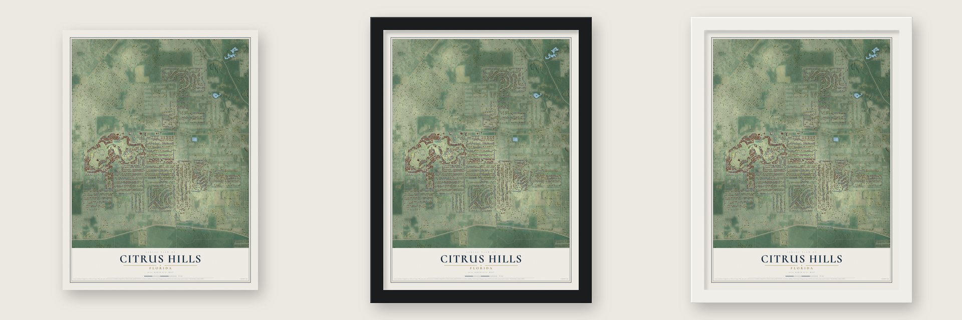 Citrus Hills, Florida map unframed, in a black wood frame and in a white wood frame