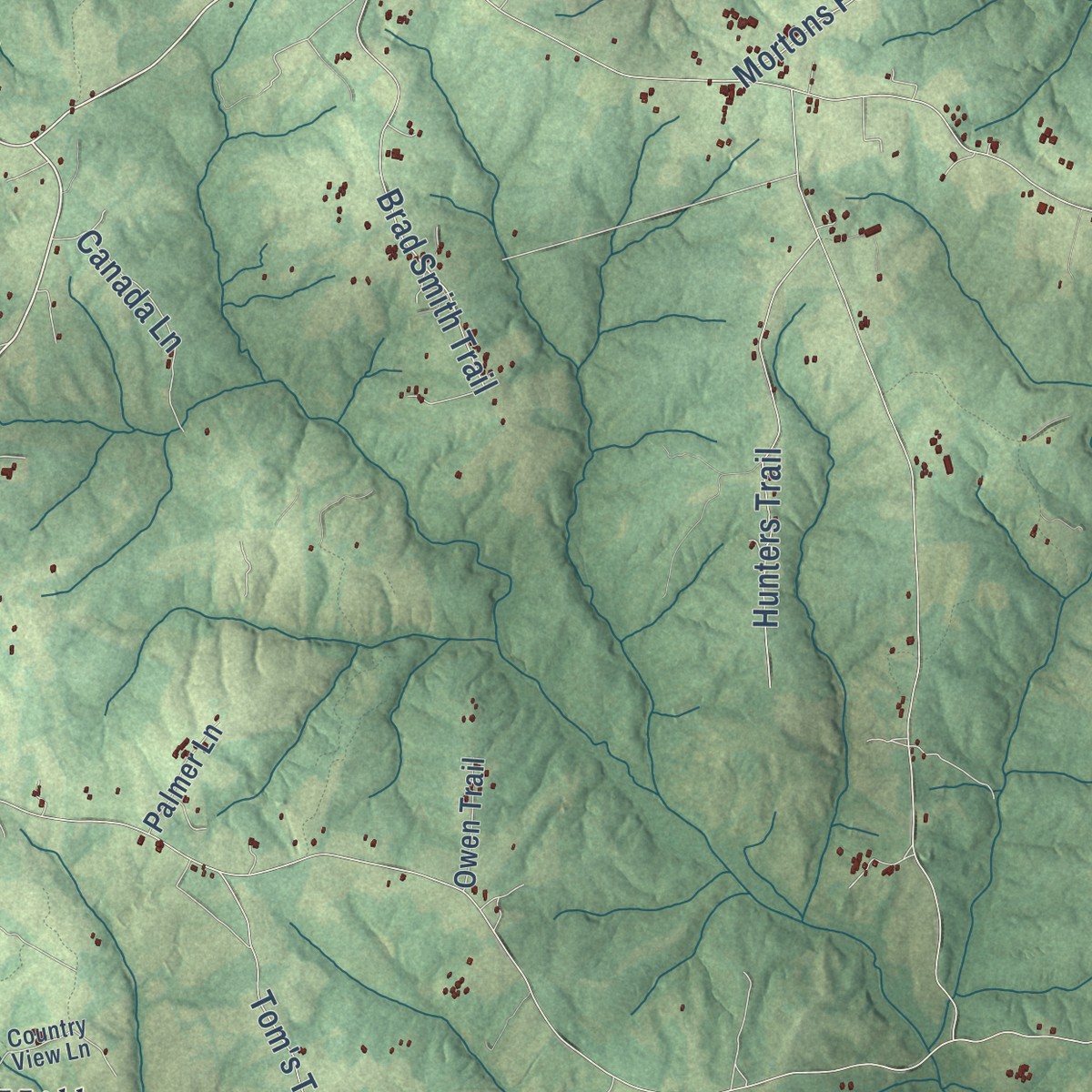 Second close-up of the map of Clays Mill, Virginia print showing more streets and buildings