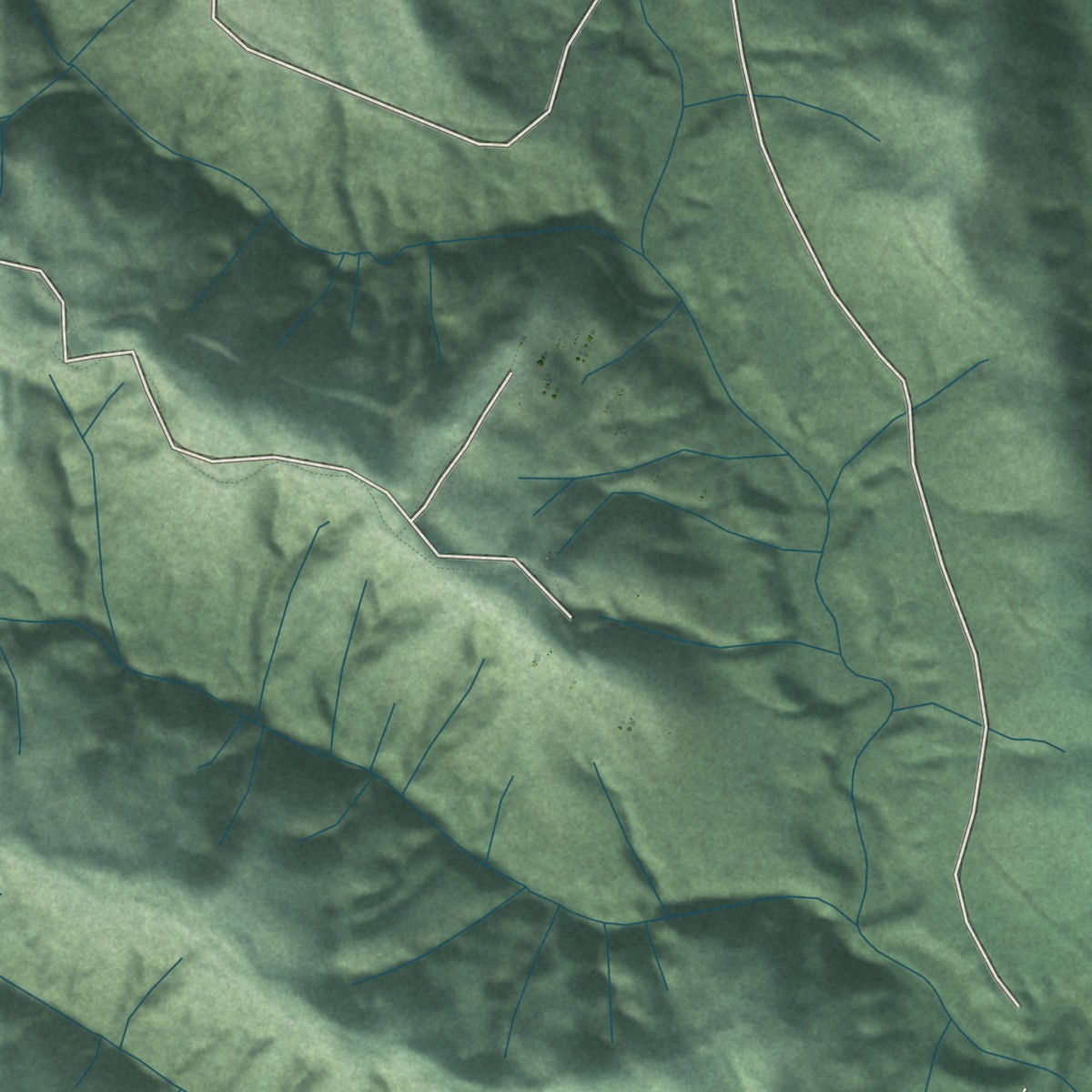 Second close-up of the map of Clearwater, Washington print showing more streets and buildings