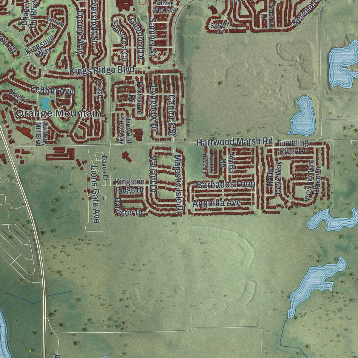 Second close-up of the map of Clermont, Florida print showing more streets and buildings