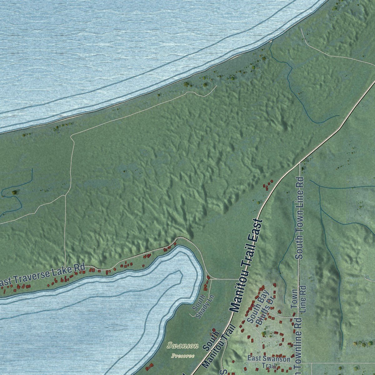 Second close-up of the map of Cleveland, Michigan print showing more streets and buildings