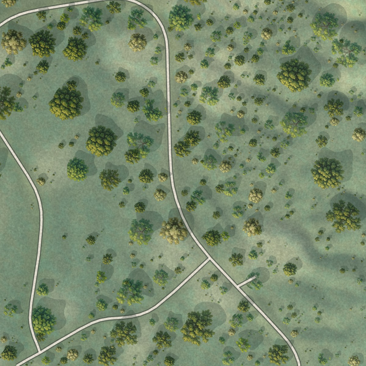 Second close-up of the map of Clio, California print showing more streets and buildings