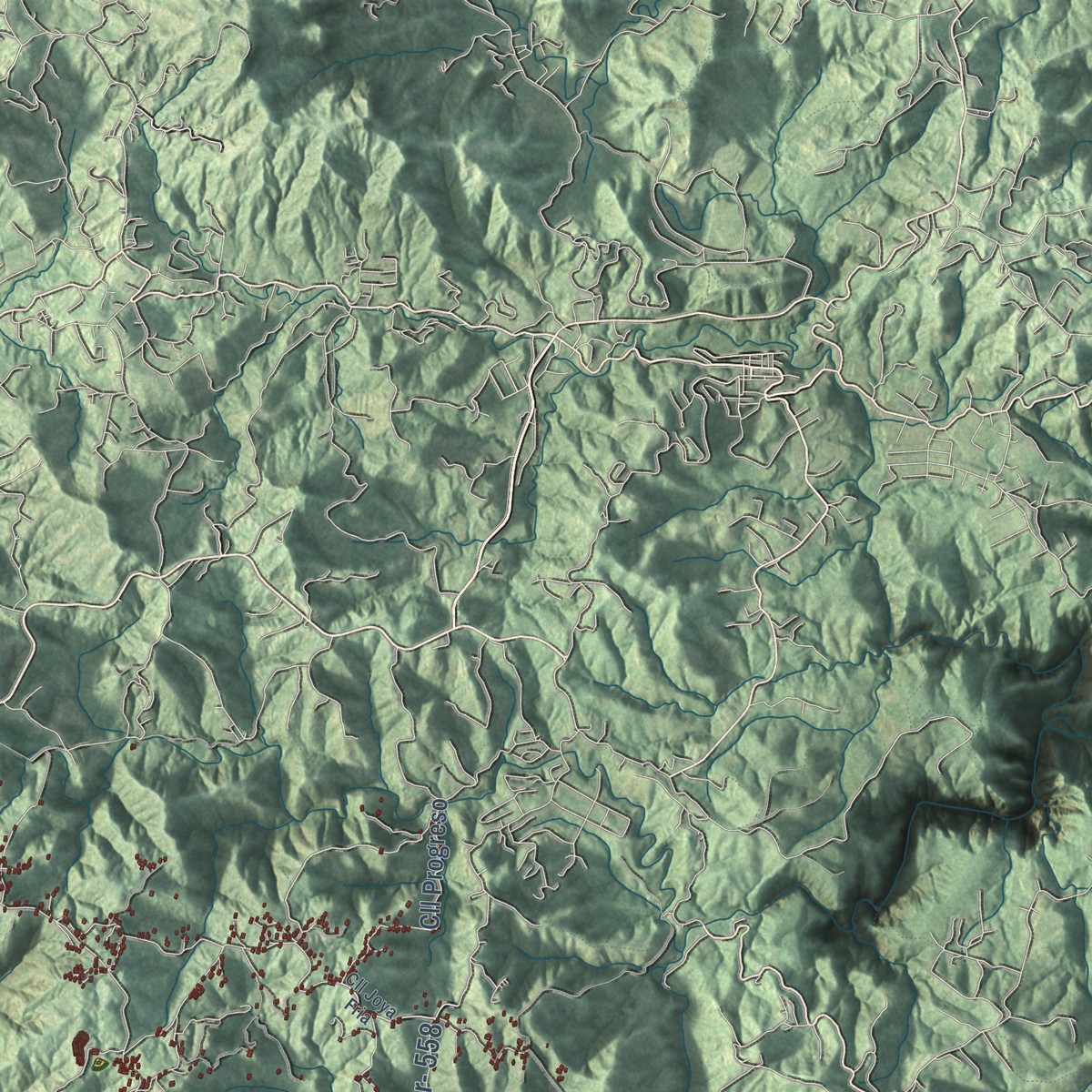 Second close-up of the map of Coamo, Puerto Rico print showing more streets and buildings